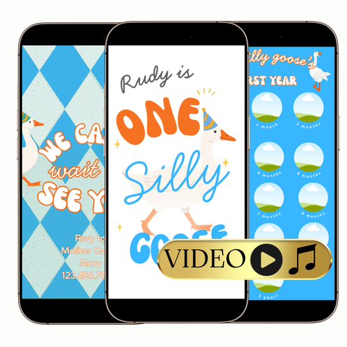 Editable Silly Goose First Birthday Video Invitation