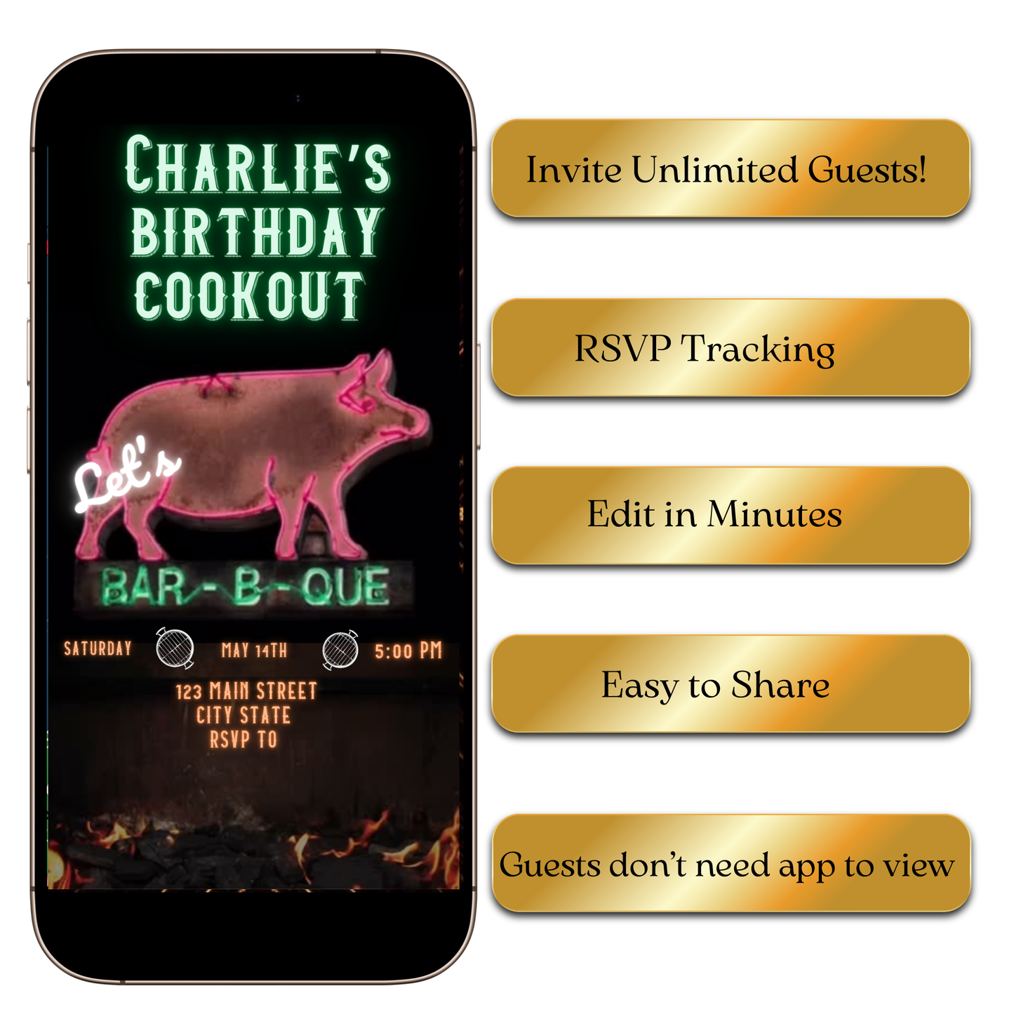 Digital BBQ Cookout Party Video Invitation MP4 Invite
