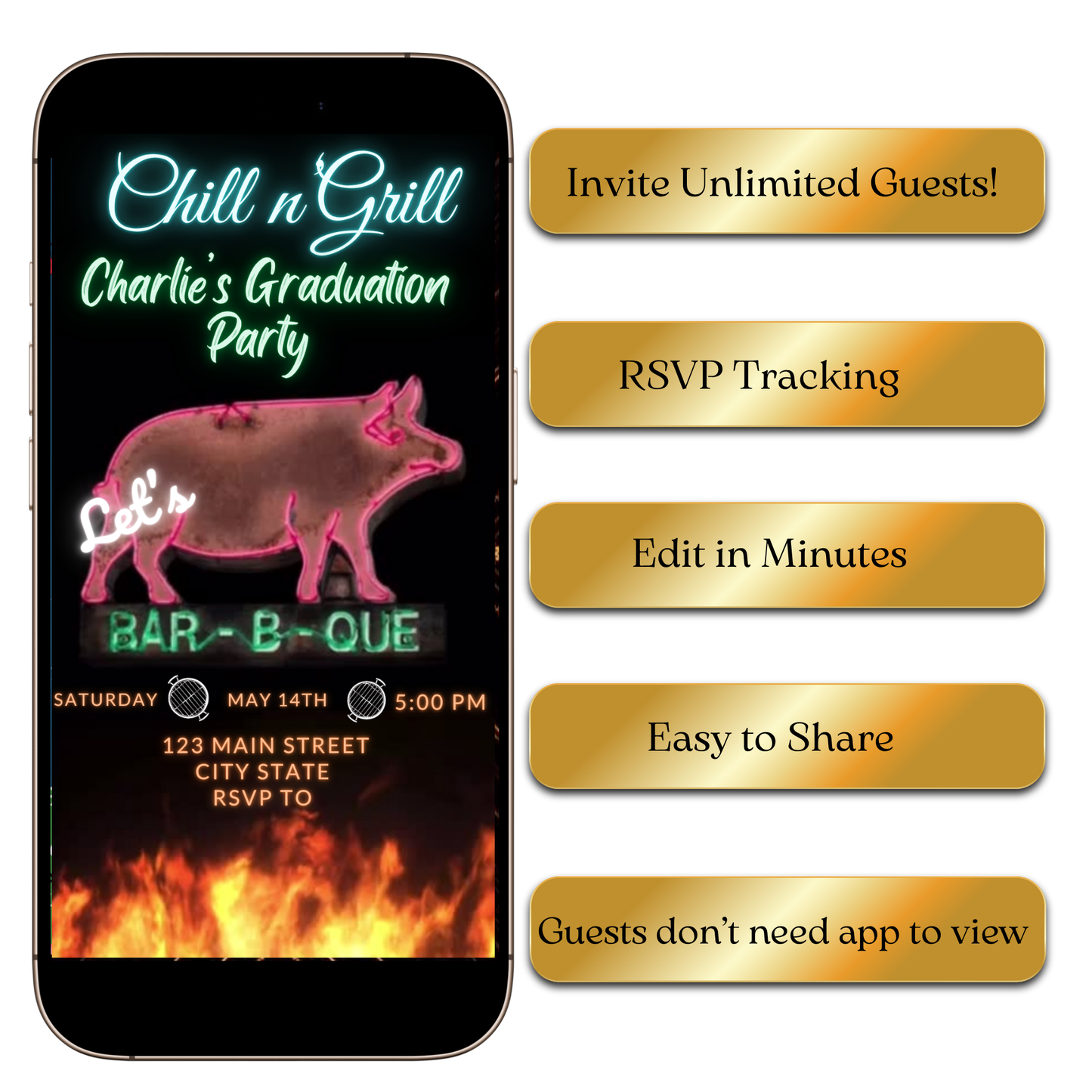 Digital Backyard BBQ Party Video Invitation MP4 Invite