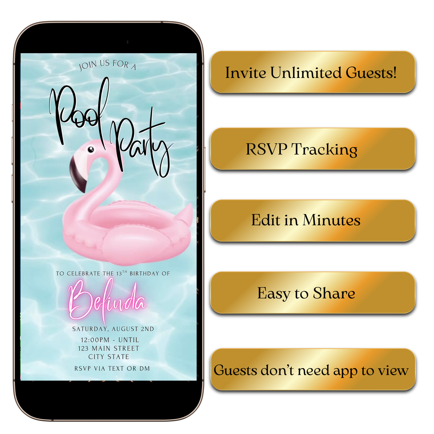 Digital Pink Flamingo Pool Video Invitation MP4 Invite