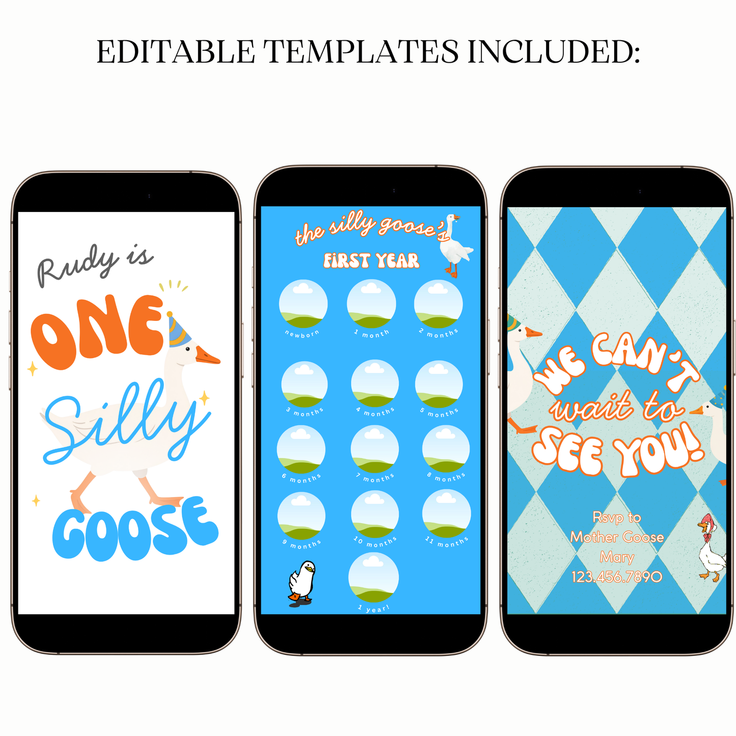 Digital Silly Goose First Birthday Video Invitation