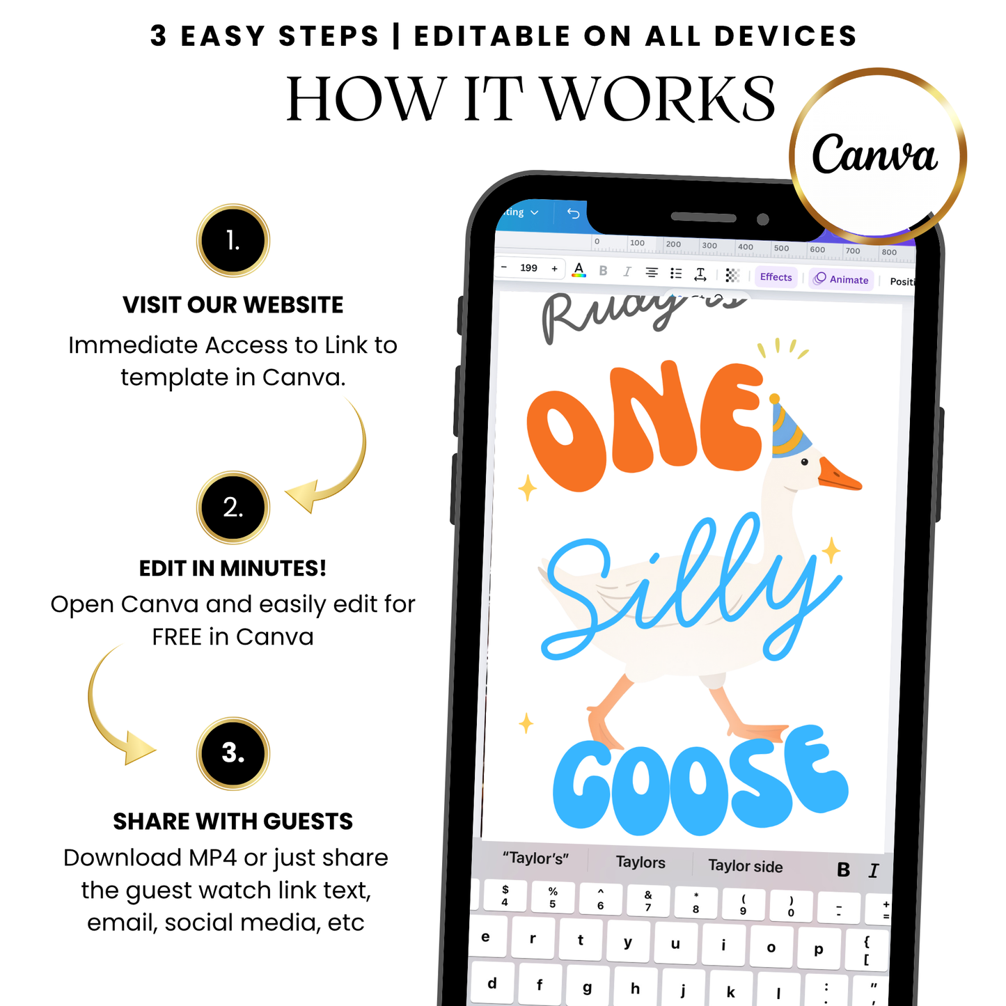 Silly Goose First Birthday Video Invitation