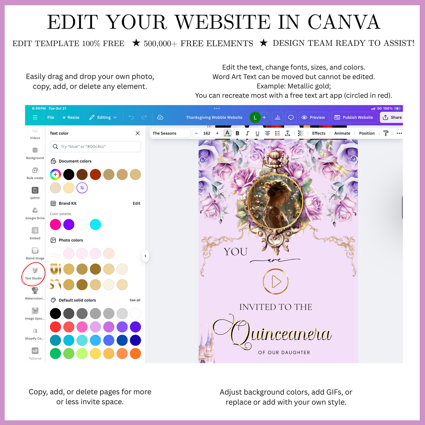 Rapunzel Quinceanera Website Invite | Sweet 15 16 Evite RSVP Video Invitation | Canva Template