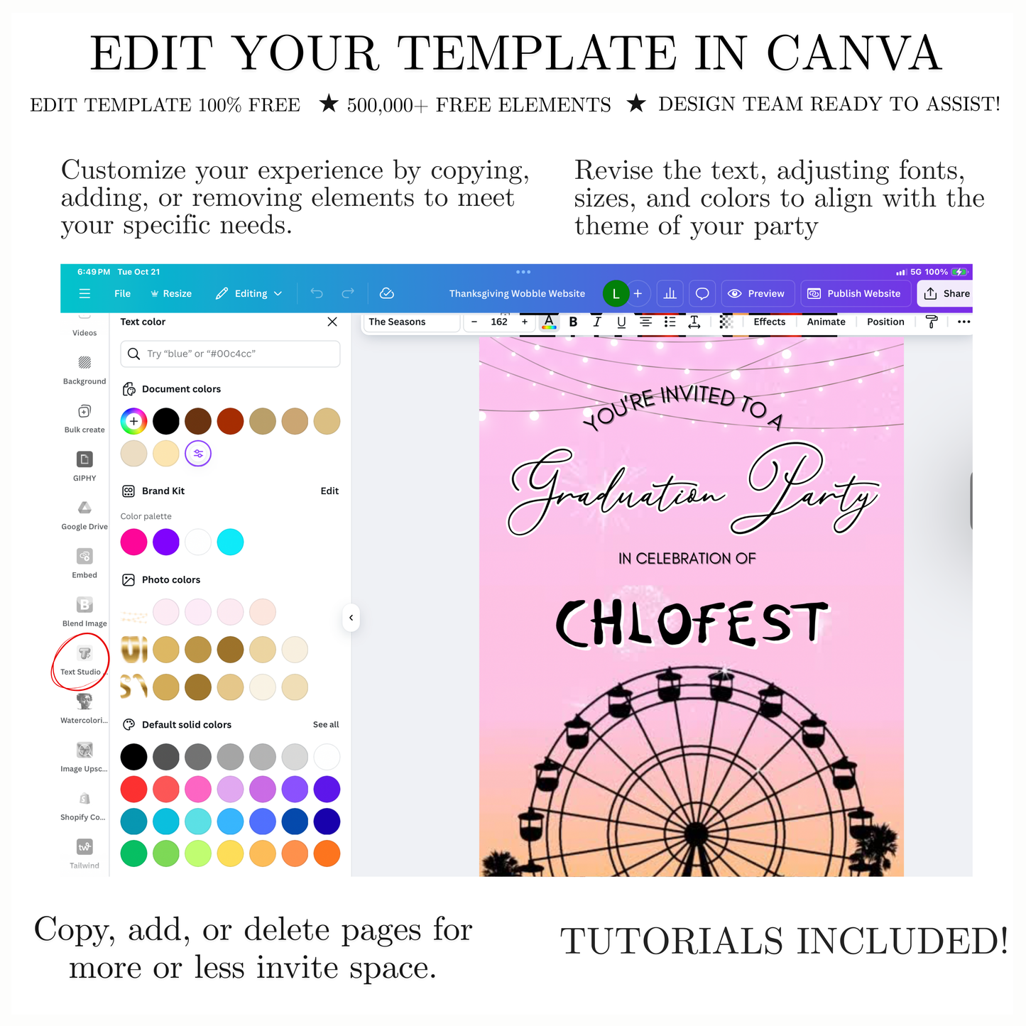 Coachella Video Invitation | Mobile Music Festival RSVP Website Animated Invite | Digital Invite Template