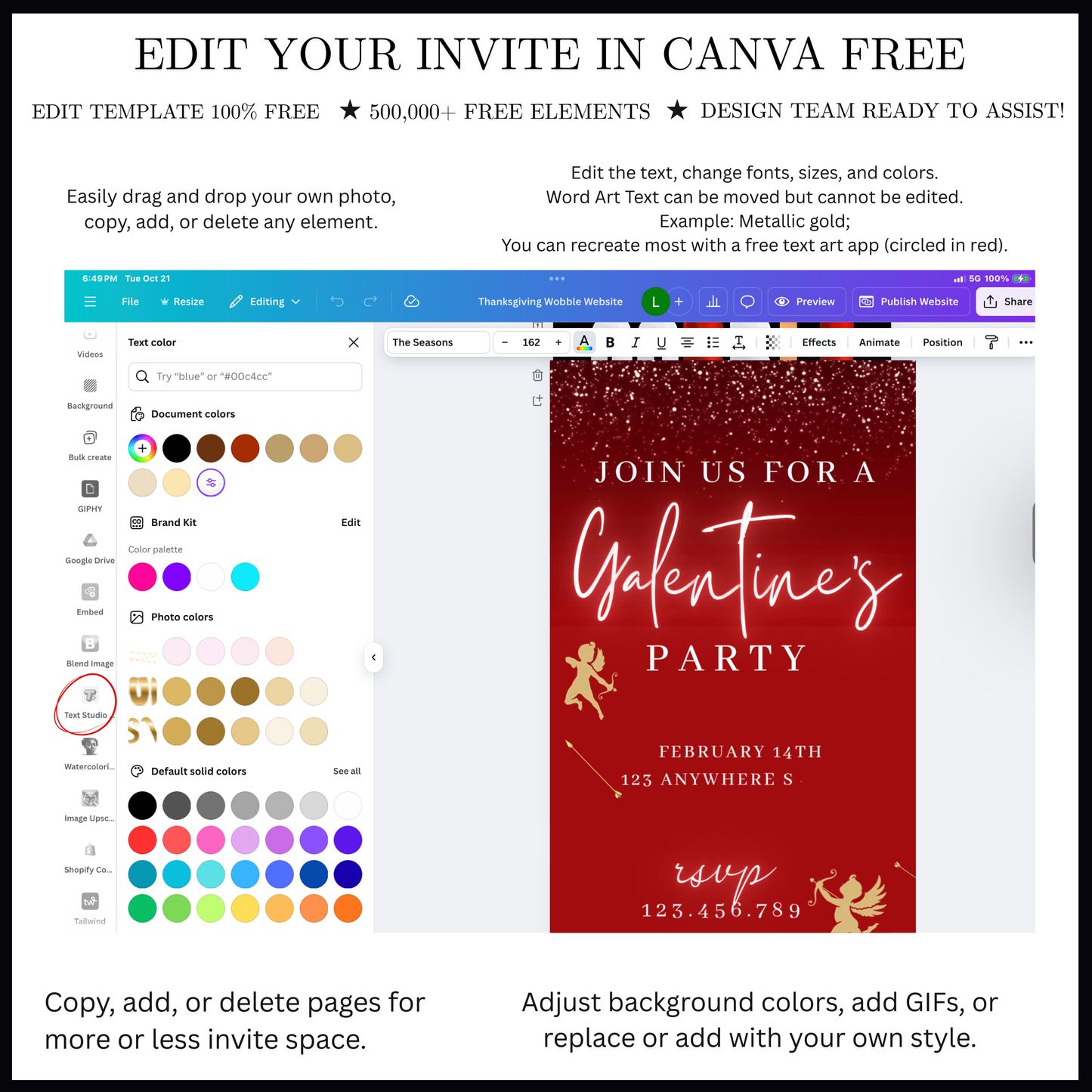 Valentines Day Party Video Invitation | Digital Galentines Day Animated Invite | Editable Canva Evite Template