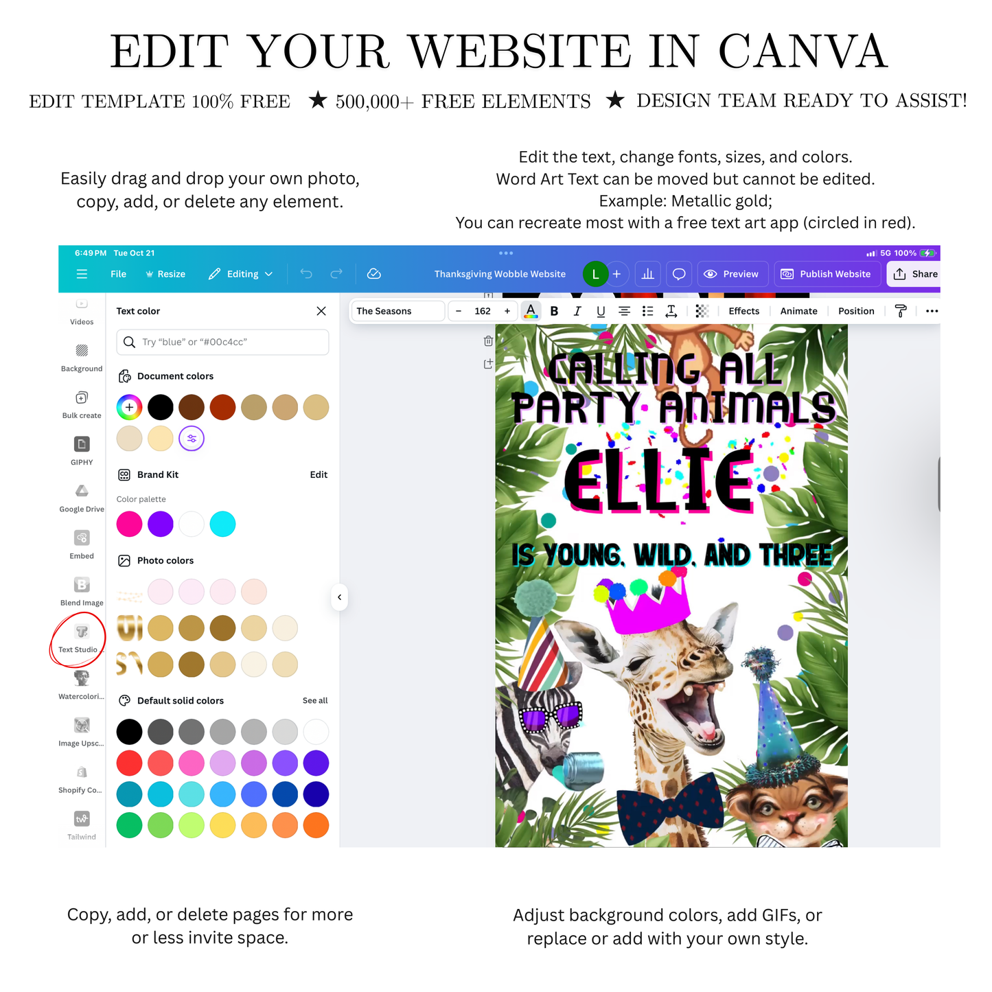 Party Animals Video Invitation Template | Mobile Animated Invite Kids Birthday | Canva Video Evite Download