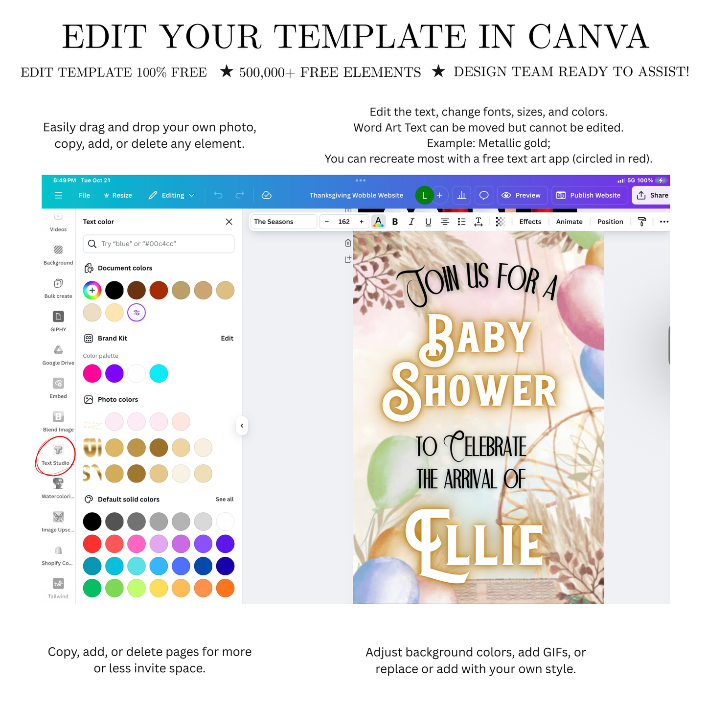 Boho Baby Shower Animated Video Invitation | Digital Baby Shower Mobile Invite with music