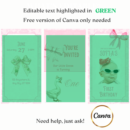 Baby first year party video invite customizable pink