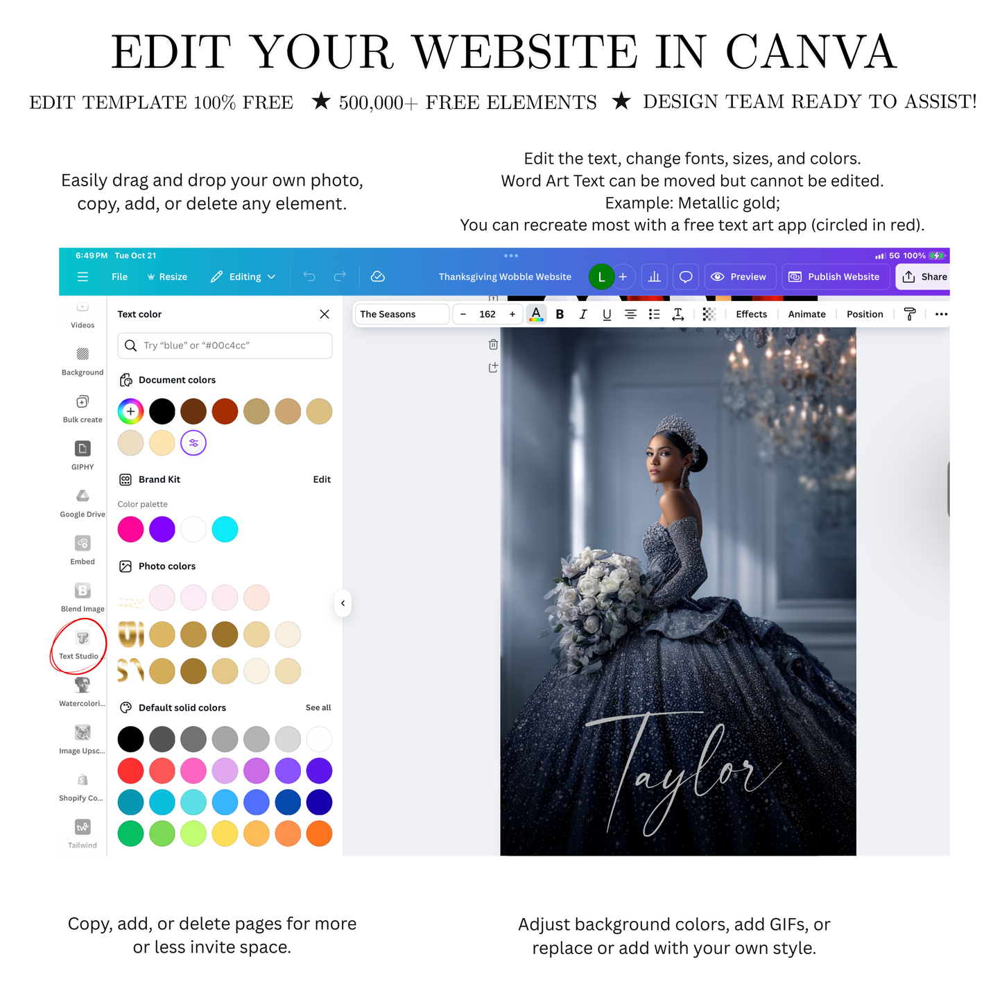 Silver Quinceanera Video Invite | Animated Sweet 15 16 Quince Evite | Editable Canva Evite Template