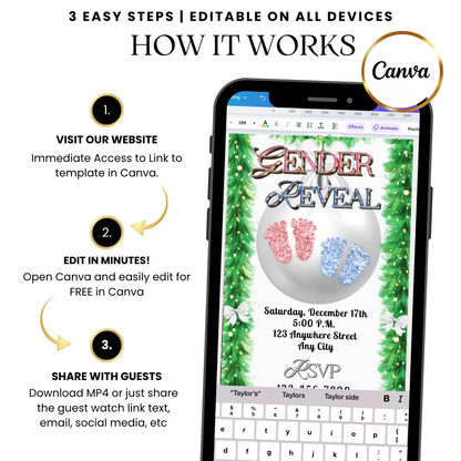 Holiday twin gender reveal video invitation template