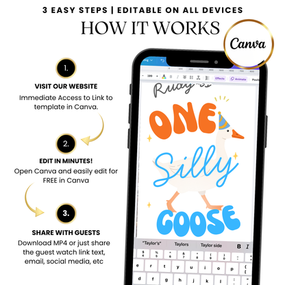 Silly Goose First Birthday Video Invitation