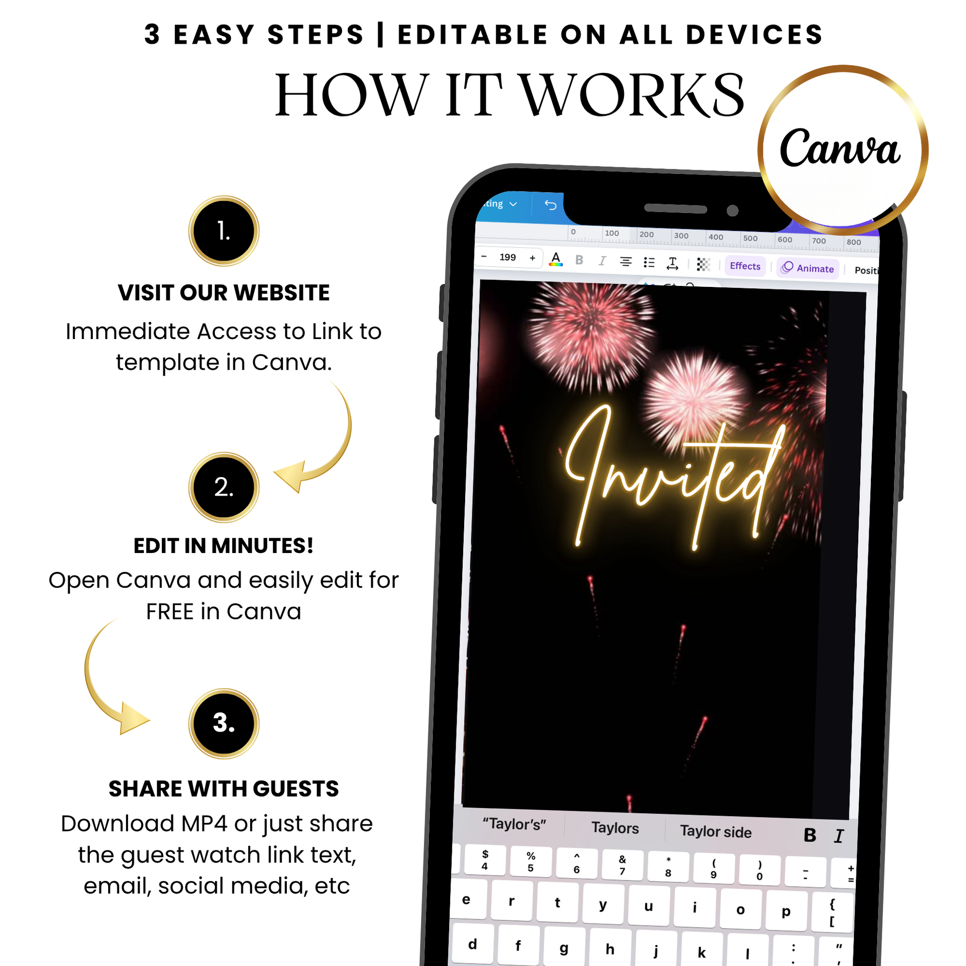 Fireworks BBQ Party Invite for Mobile Sharing