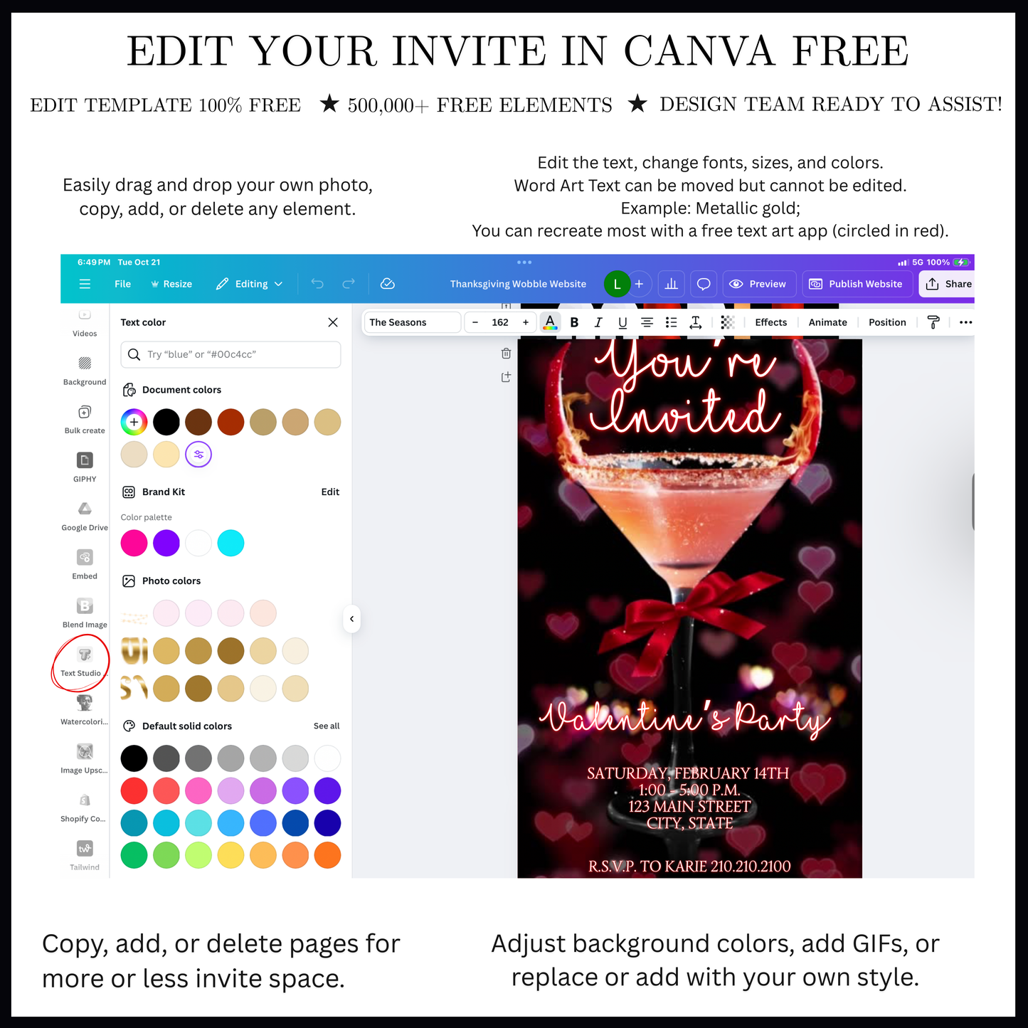 Valentines Cocktail Party Video Invitation | Digital Galentines Day Animated Invite | Editable Canva Evite Template