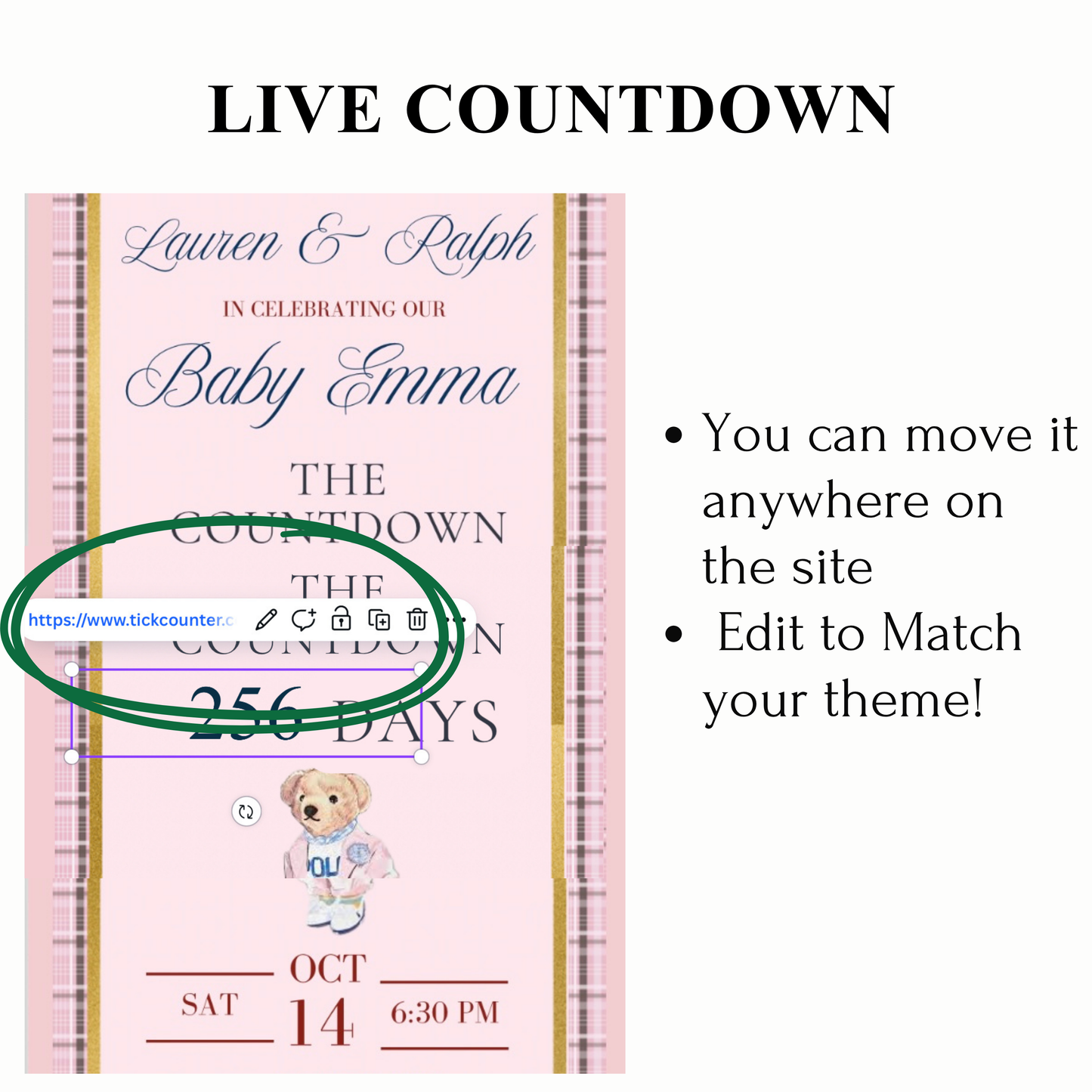 Pink Polo Ralph Lauren Baby Shower Invitation Website | Animated Classic Polo Girl Baby Shower Invite with Rsvp tracking