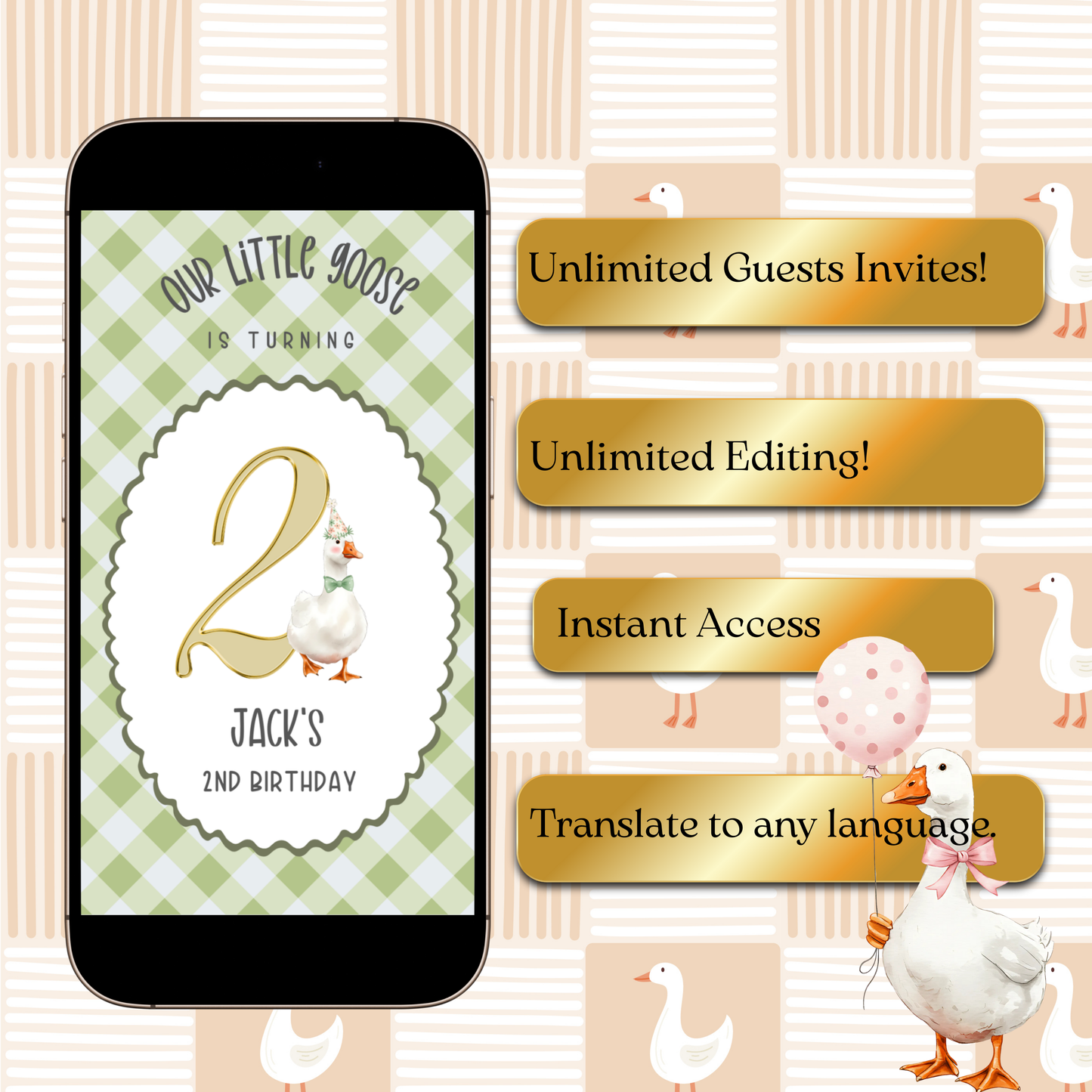 Videoeinladung „Blaue Gans“ | Digitale Einladung zum 1. Geburtstag für Jungen | Online-Vorlage zum Bearbeiten