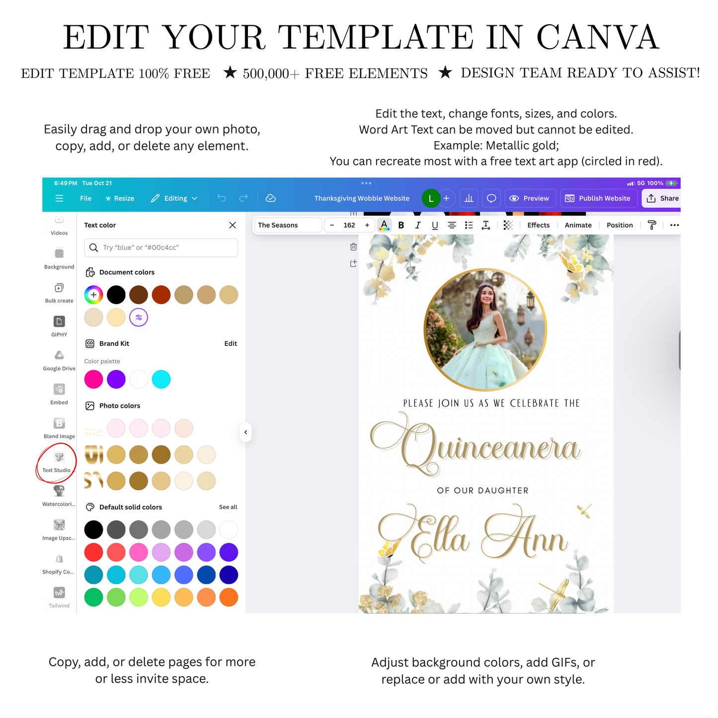Quinceanera Video Invite | Editable Sweet 15 Birthday Sweet 16 Canva Evite Template