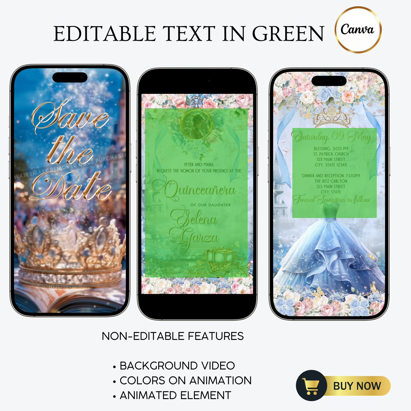 Cinderella Quinceanera Video Invitation Template | Mobile Animated Invite Birthday | Canva Video Evite Download