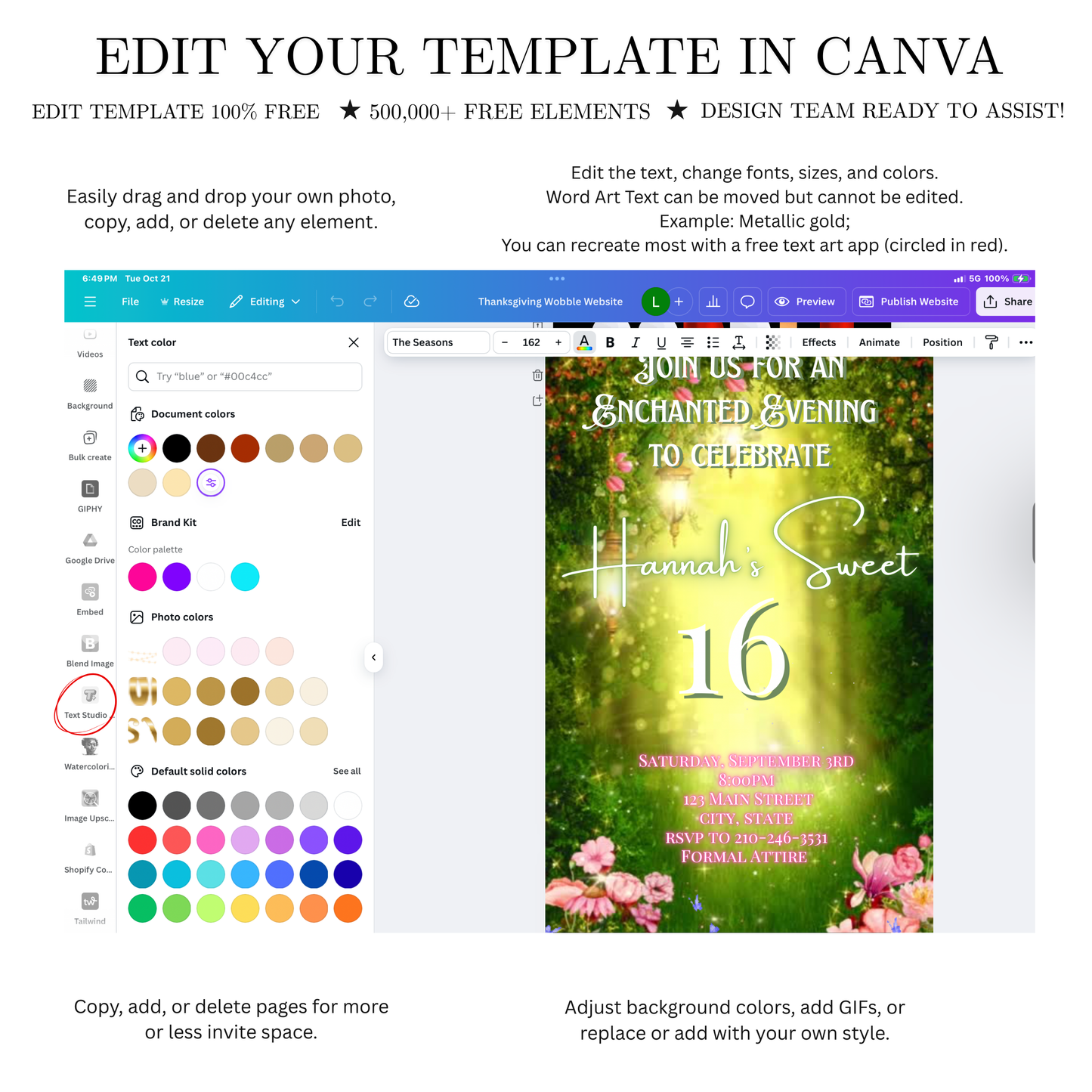 Enchanted Forest Video Invitation | Animated Fairy Garden birthday invite | Digital Canva Template