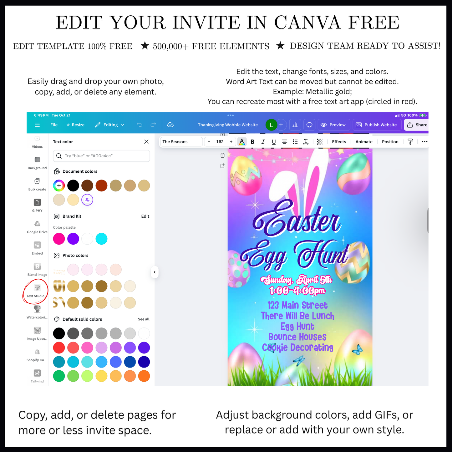 Easter Video Invitation, Easter Egg Hunt Animated Invite, Digital Canva Template