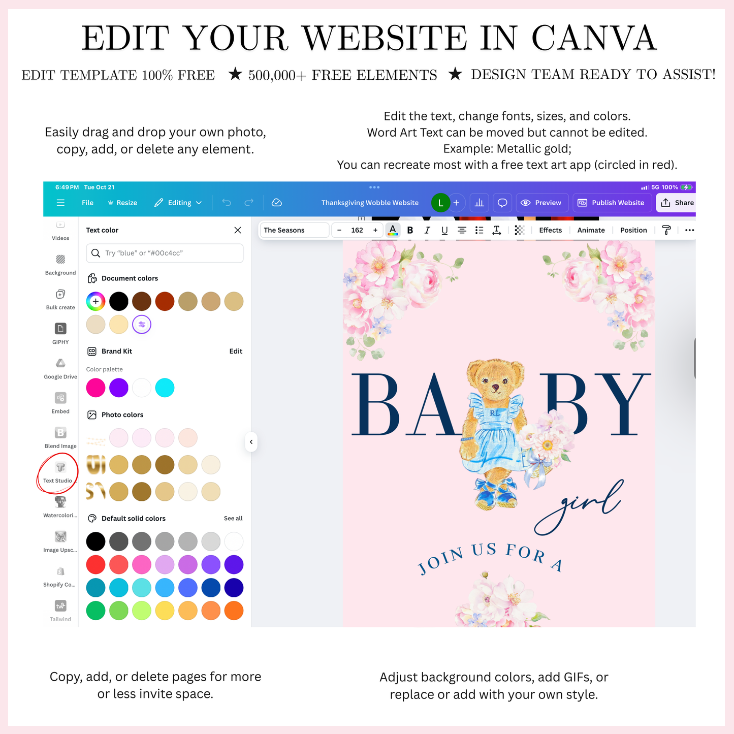 Video-Einladung mit rosa Polobär | Digitale, elegante Frühlingseinladung in Rosa | Bearbeitbare Canva-Vorlage