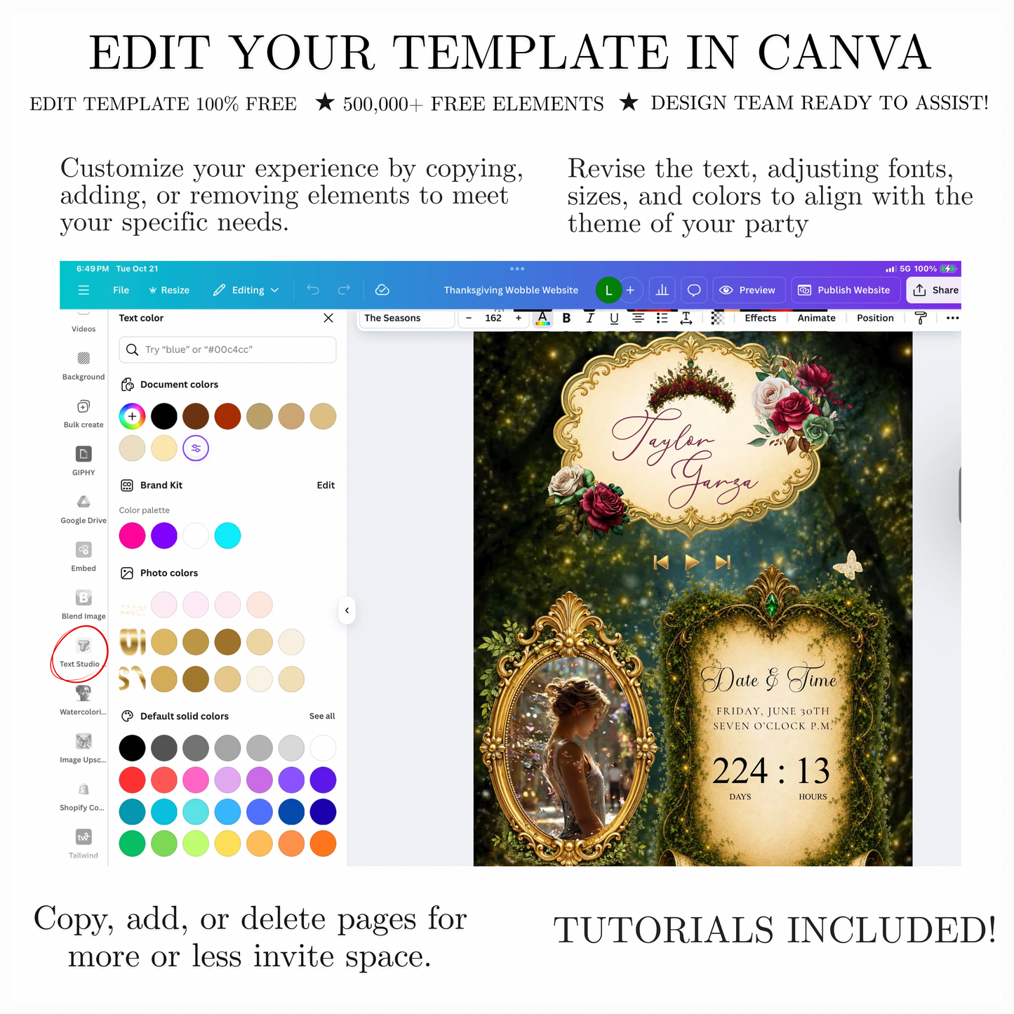 Enchanted Forest Quinceañera / Sweet 16 website invitation