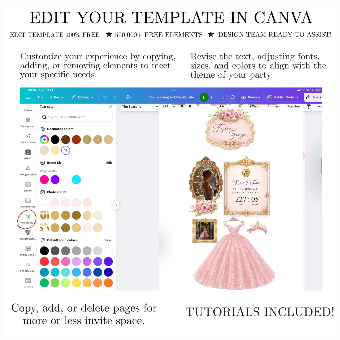 Pink Quinceañera Interactive Website Invitation