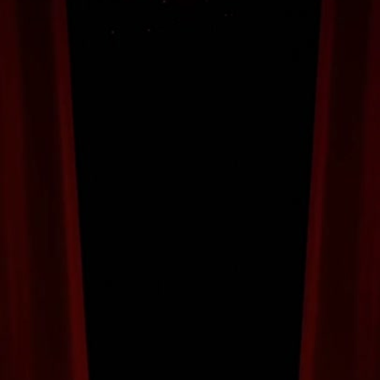 Hollywood Red Carpet Birthday Video Invitation