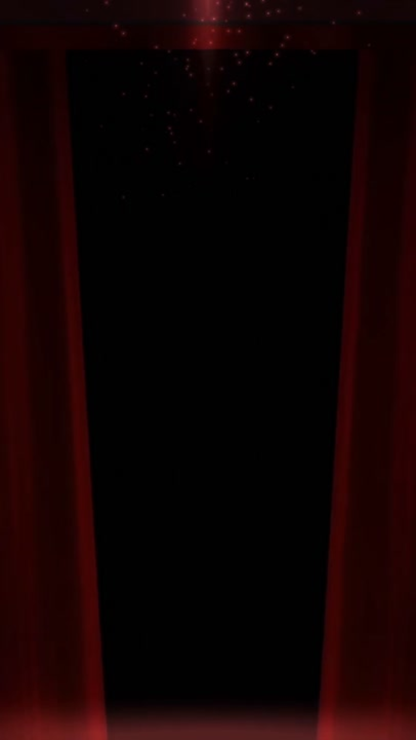 Hollywood Red Carpet Birthday Video Invitation
