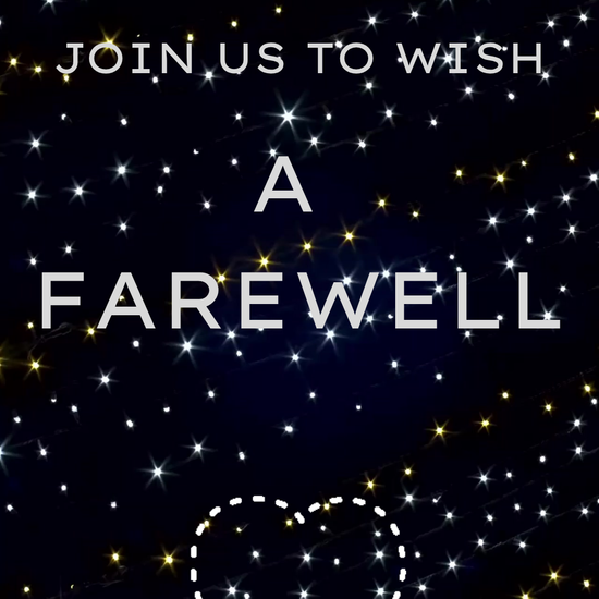 Farewell Party Video Invitation – Bon Voyage Animated Evite Template