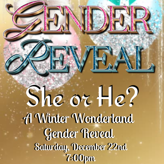 Winter Wonderland Gender Reveal Video Invitation | Digital She or He Invite | Editable Online Template